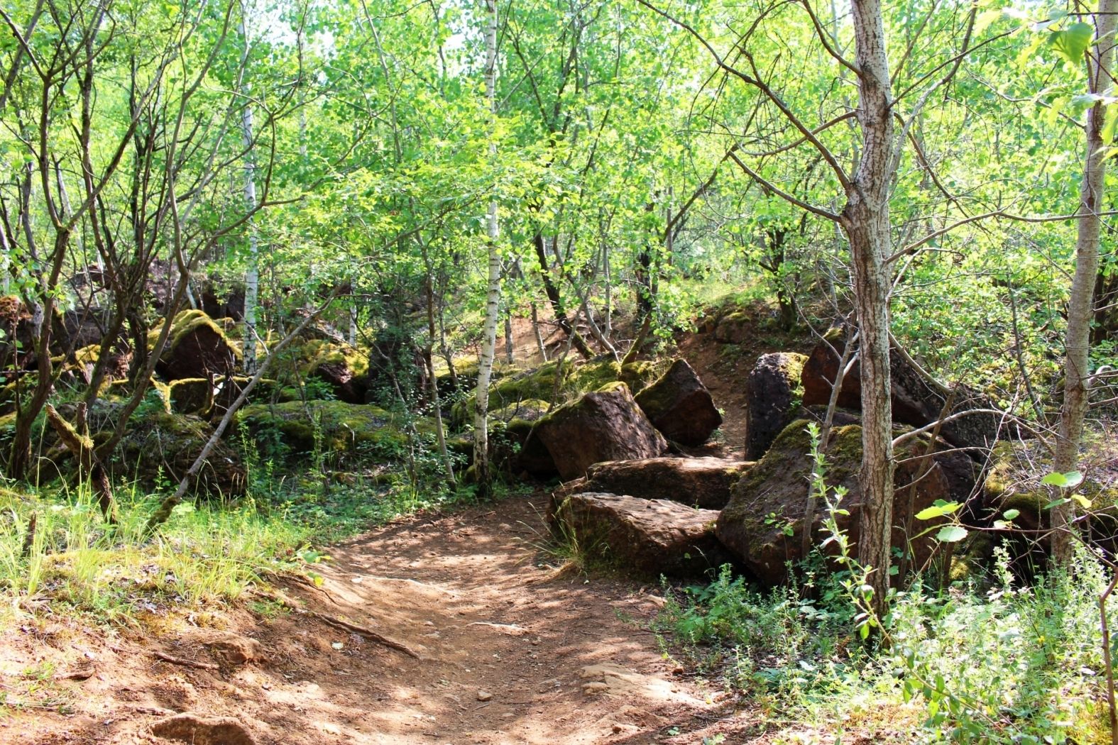 Haard Hesselsbierg Staebierg