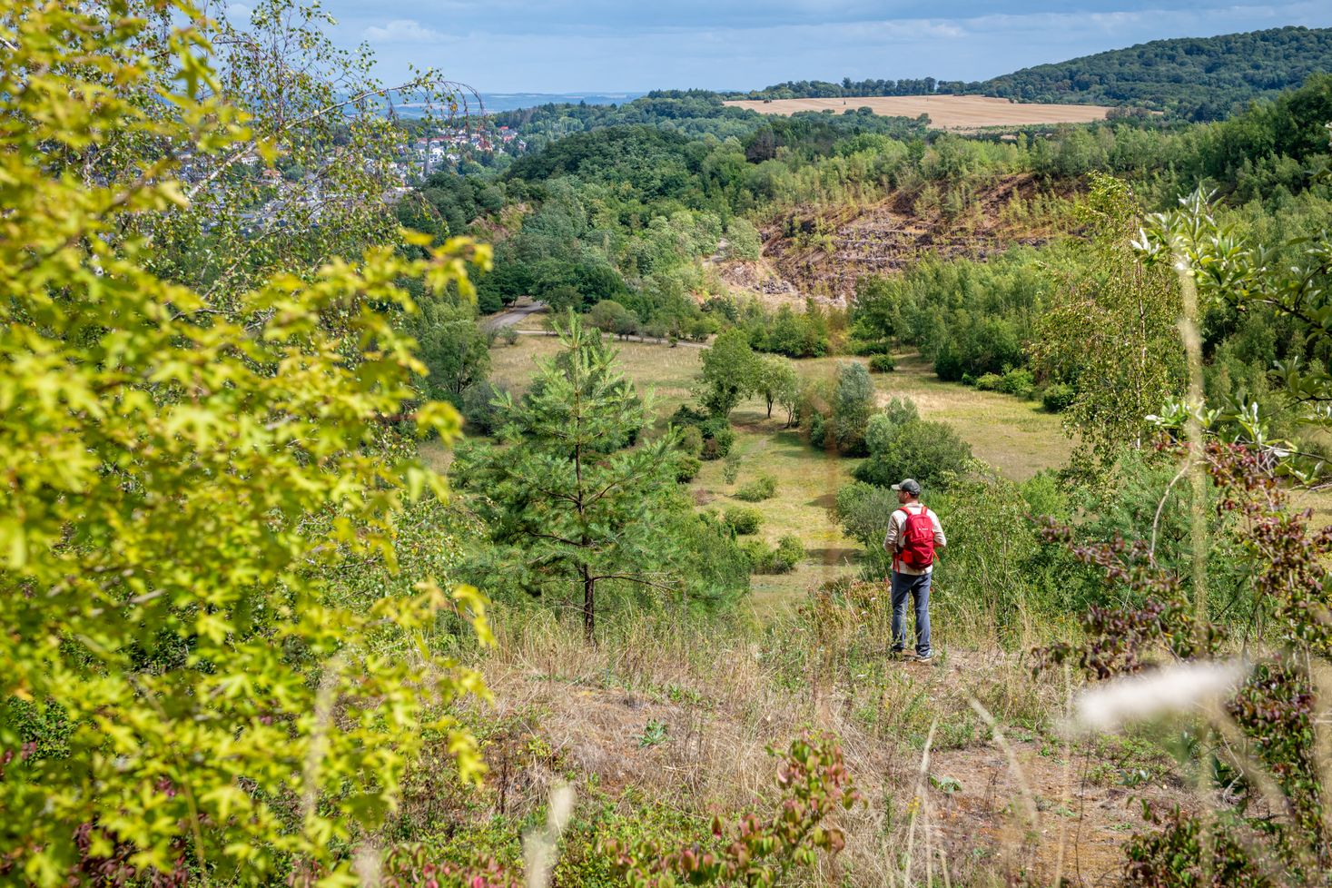 Réserve naturelle Haard Hesselsbierg Staebierg