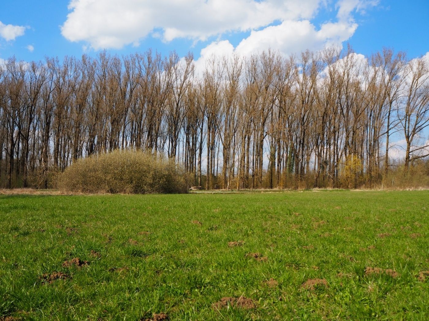 Das Naturschutzgebiet ist Heimat für viele unterschiedliche Arten