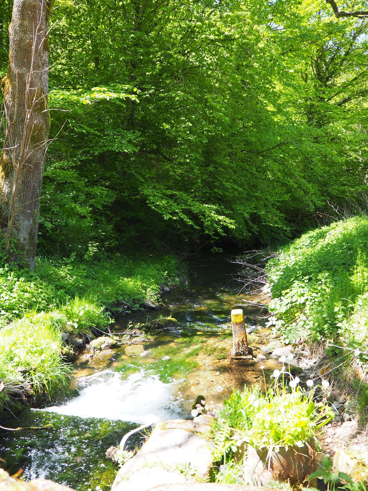 Crosnière