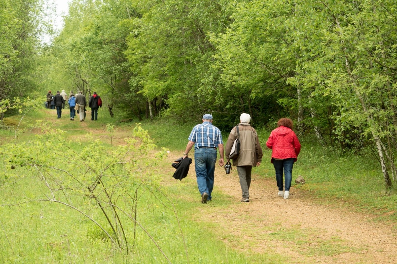In den alten Abbaugebieten und heutigen Naturschutzzonen lässt es sich gut wandern.