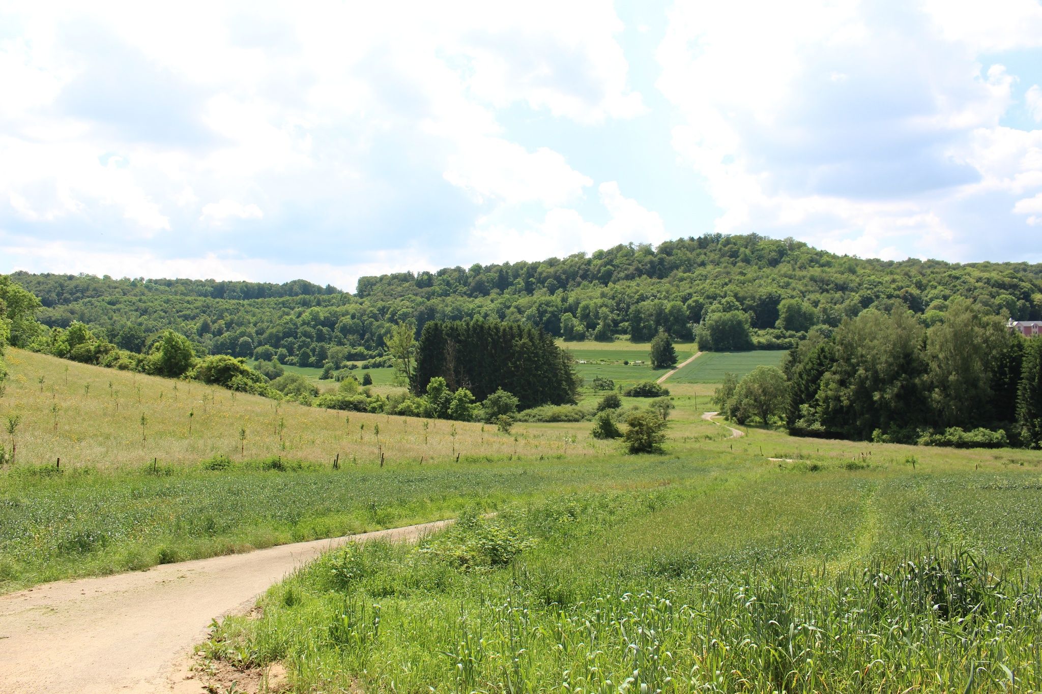 Auto-Pédestre Wanderweg Lamadelaine