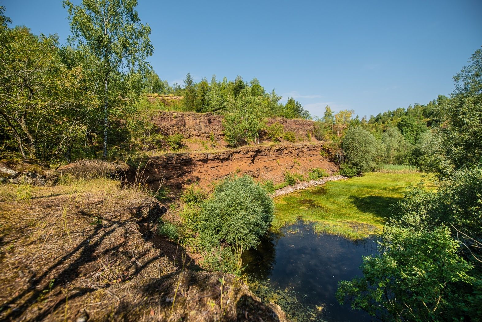 Der Pfad startet bei diesem Weiher