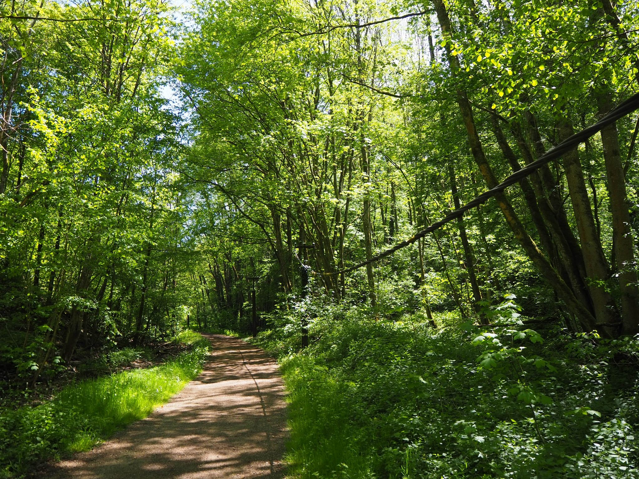 Auto-Pédestre Wanderweg Differdange-Lasauvage