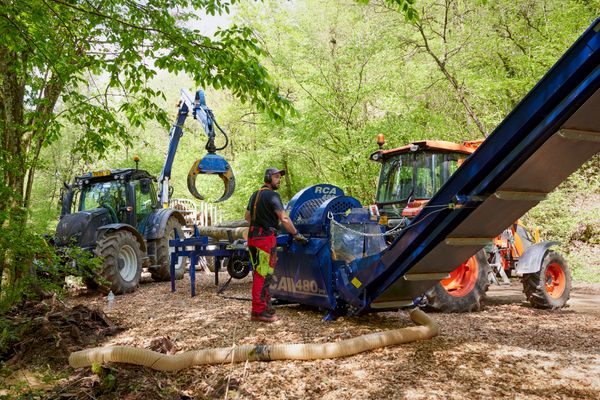 Forest works during the "Dag an der Natur" event