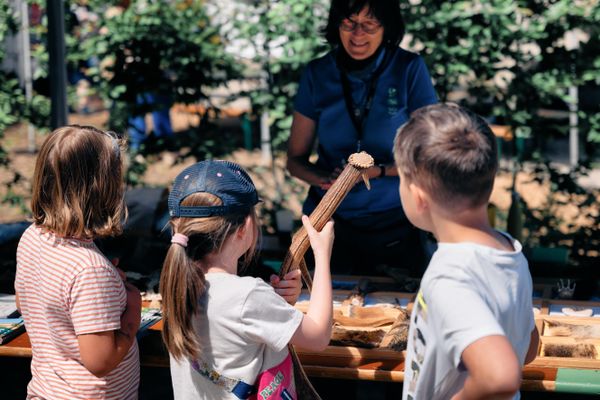 En Dag an der Natur at a Workshop