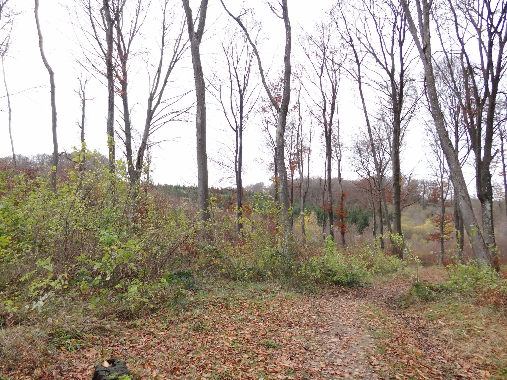 Auto-Pédestre Wanderweg Rumelange I