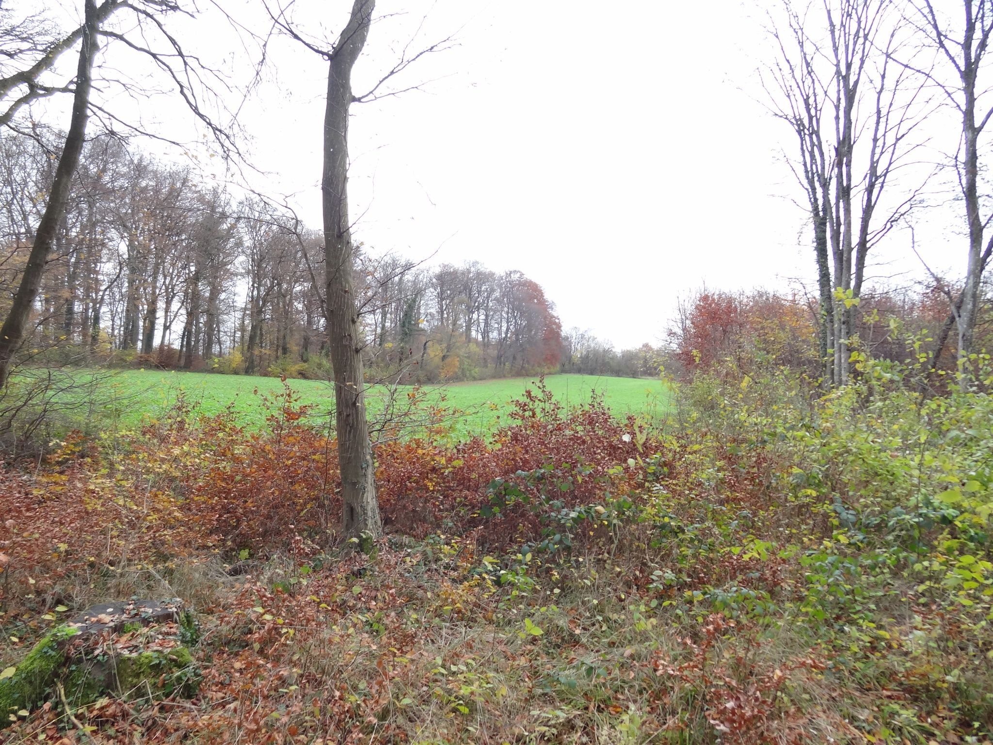 Auto-Pédestre Wanderweg Rumelange I