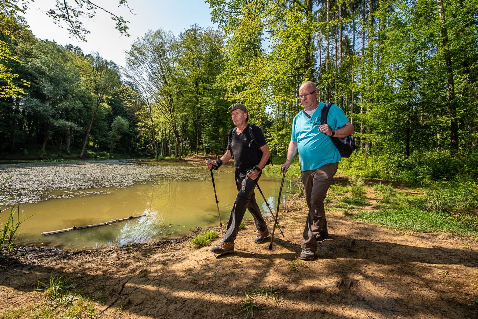 Réserve naturelle Ellergronn