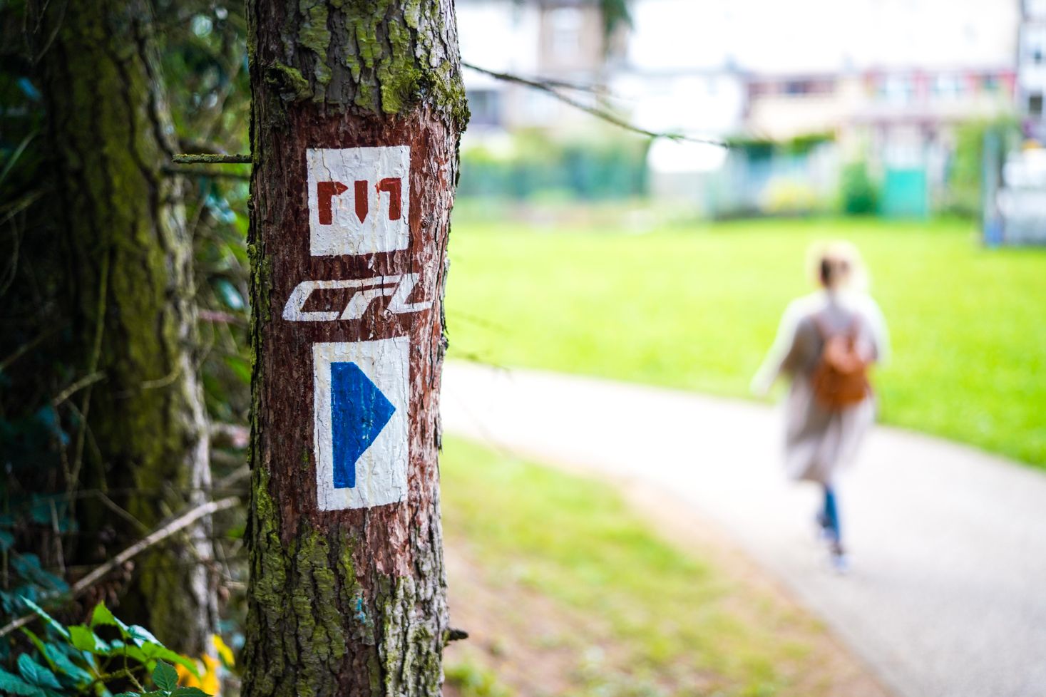Mehrere Markierungszeichen deuten auf die Pfade der Wanderwege der Region