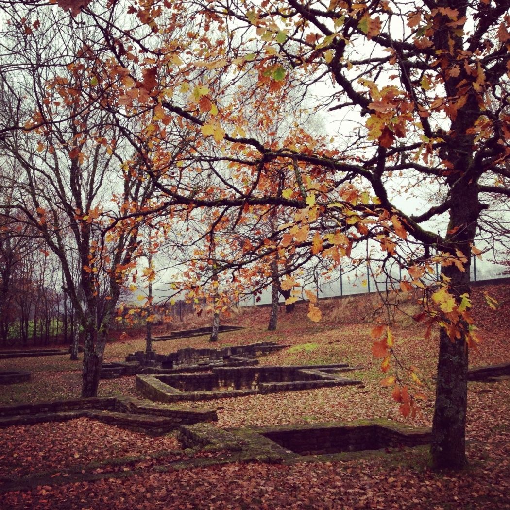 im Herbst erstrahlt der "Titelberg" in einem neuen Licht.