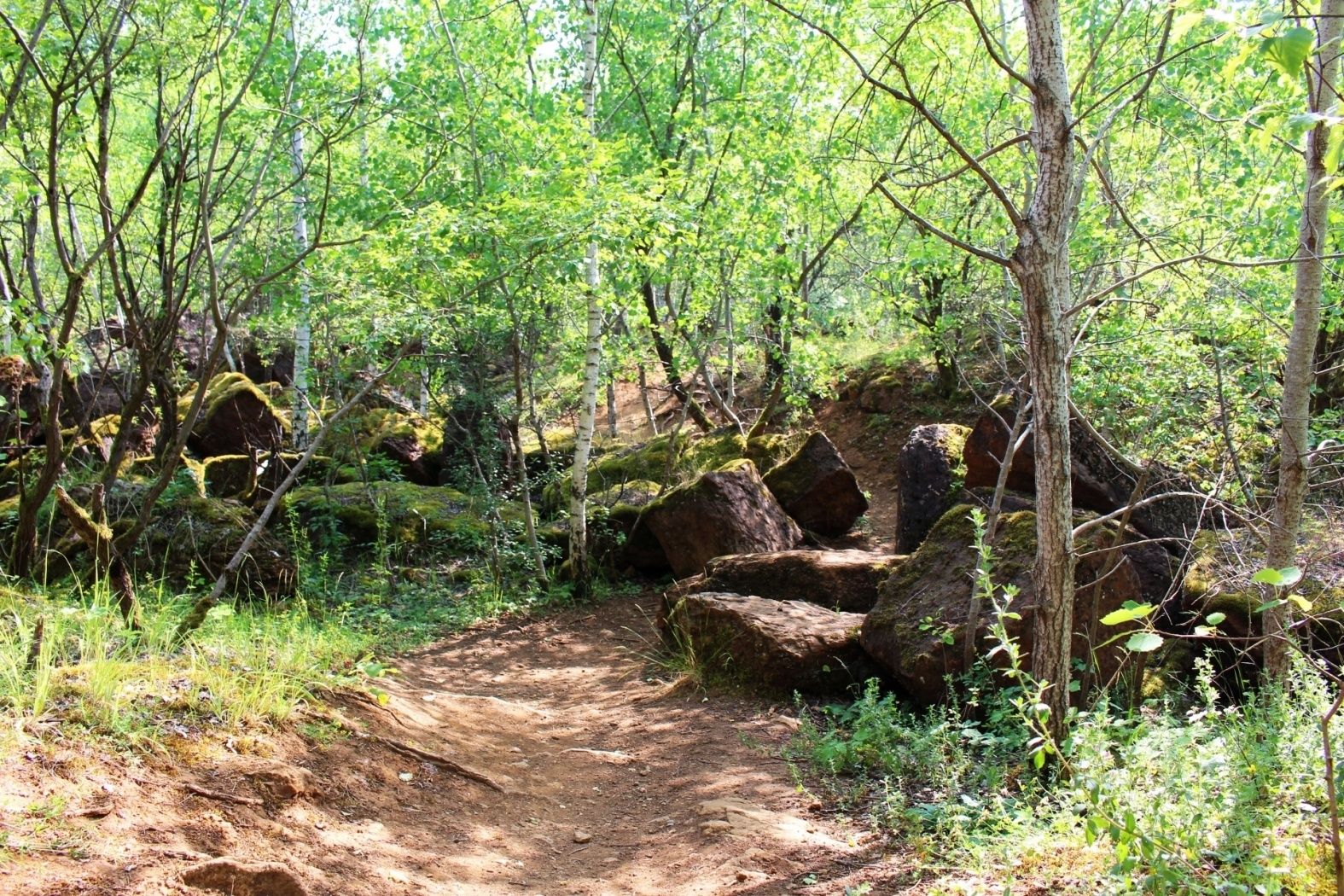 Haard Hesselsbierg Staebierg