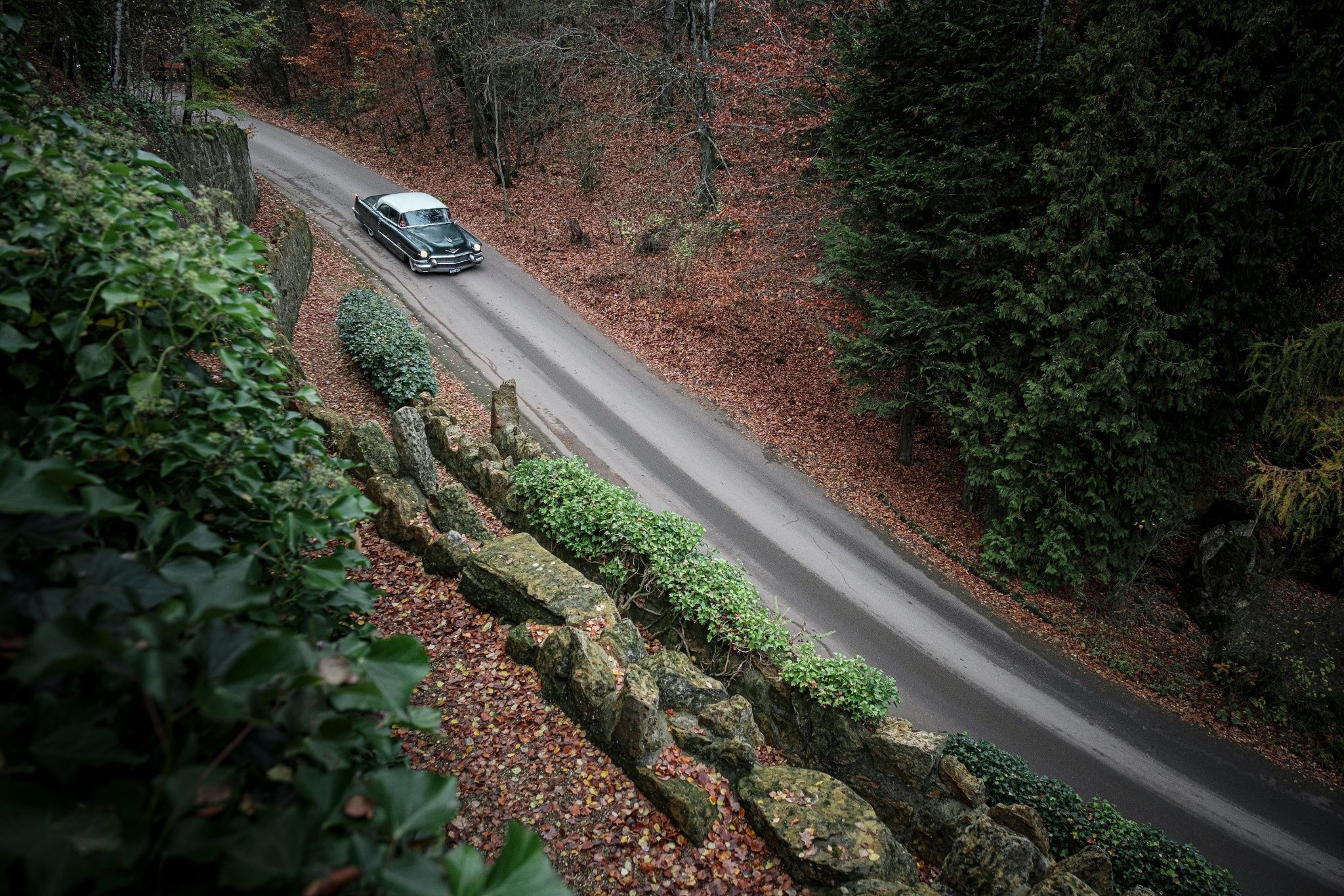 Discover a rich nature and history