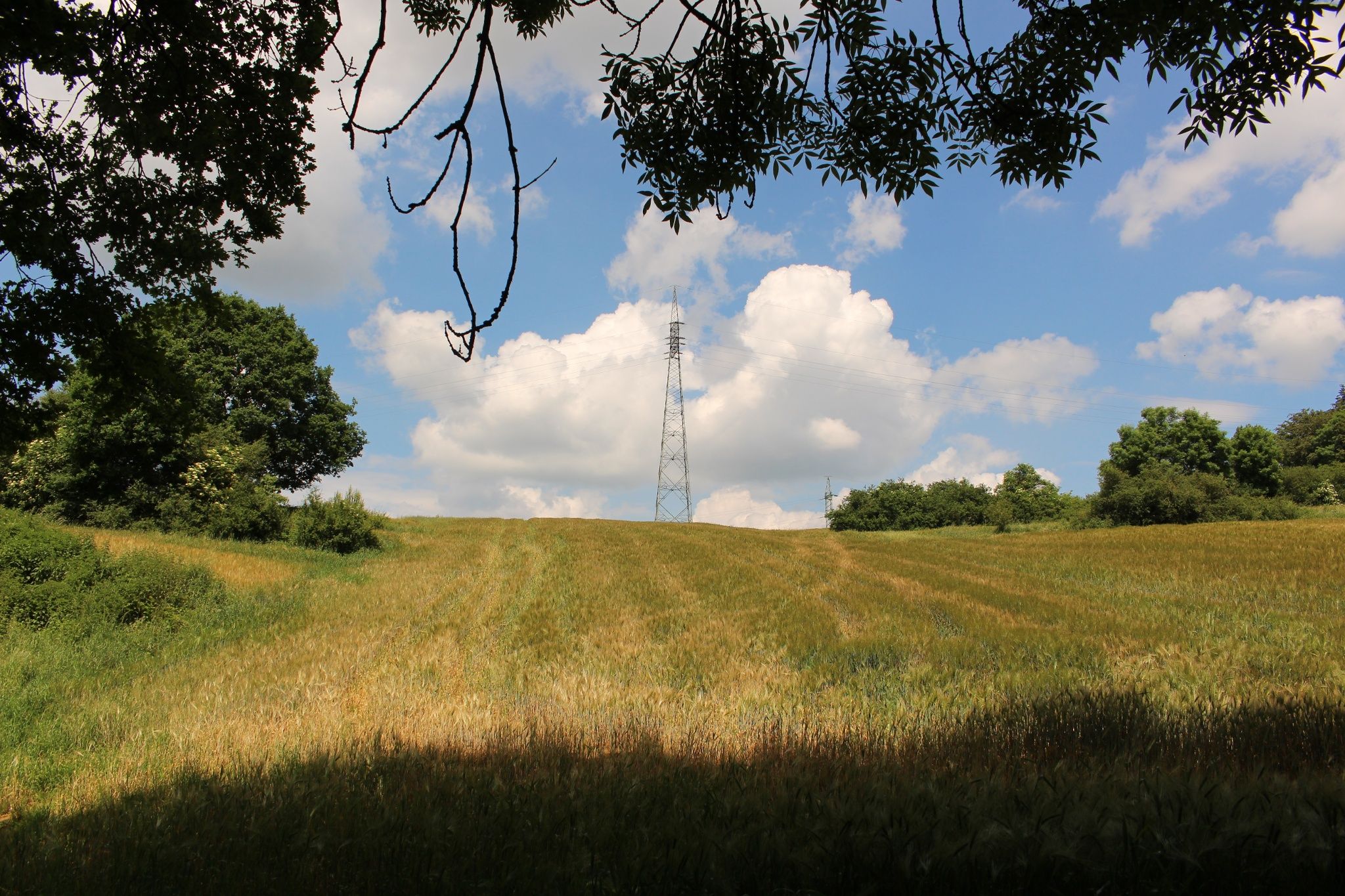 Auto-Pédestre Wanderweg Lamadelaine
