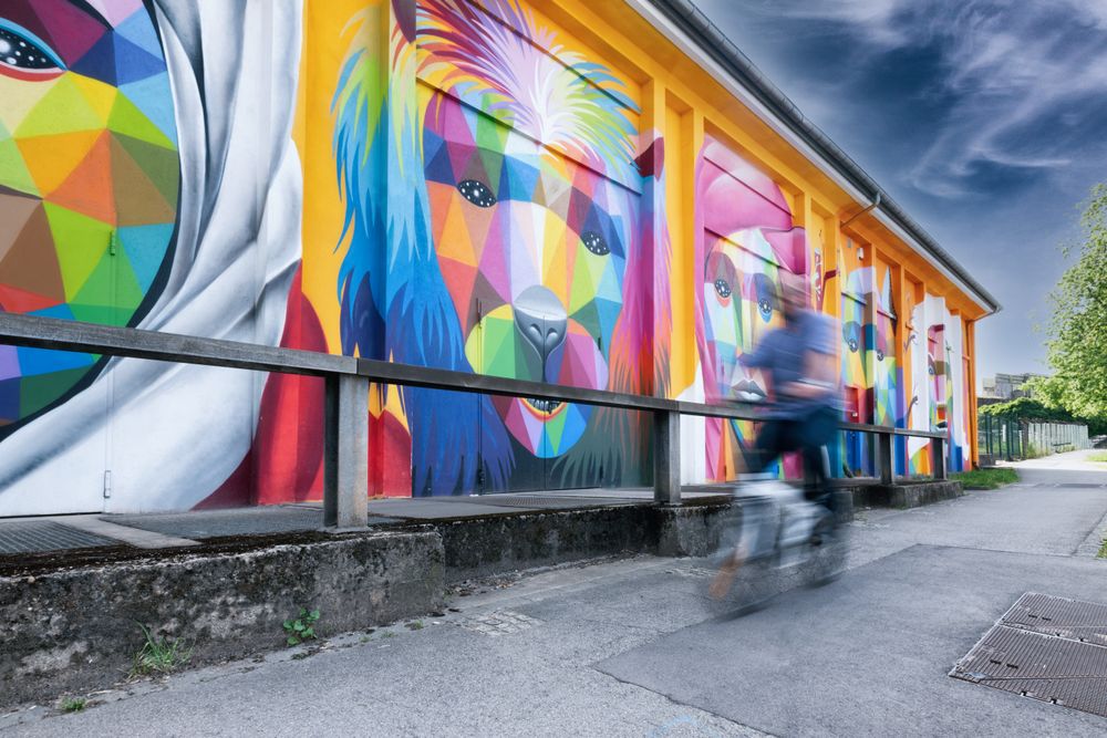 Un cycliste (hors focus) devant un mur rempli d'Urban Art (Graffiti)
