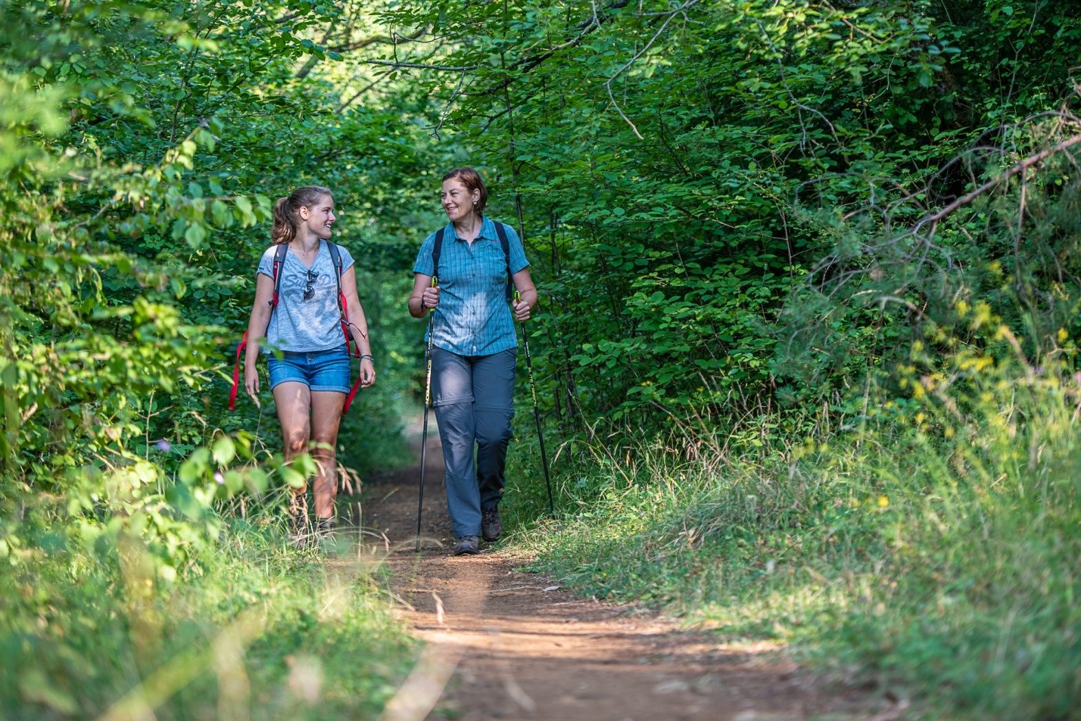 In den alten Abbaugebieten und heutigen Naturschutzzonen lässt es sich gut wandern.