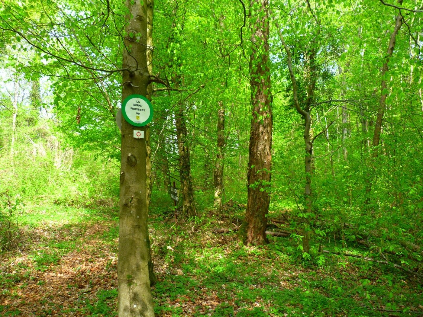 Genießen Sie die Frische der Natur in den ehemaligen Abbaugebieten